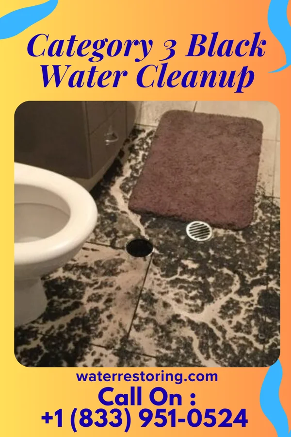 Category 3 Black Water Cleanup in West Homestead, PA