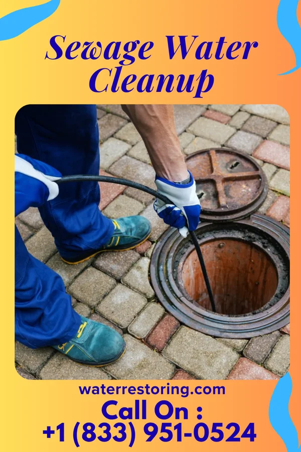 Sewage Water Cleanup in West Homestead, PA